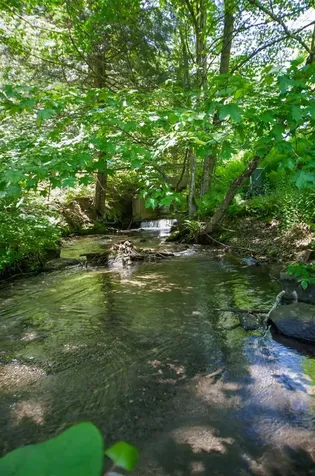 2373 Lime Pond Road Barnard VT 05031