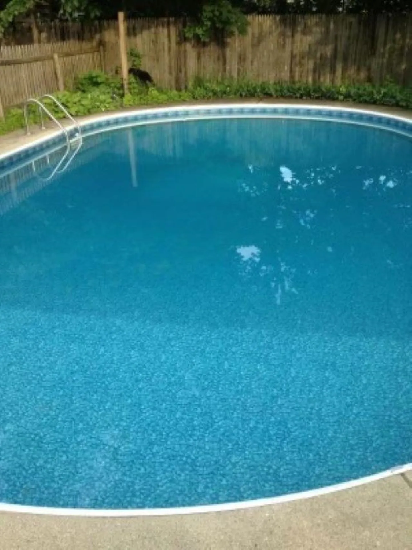 161 Woodlawn Road Burlington VT 05408