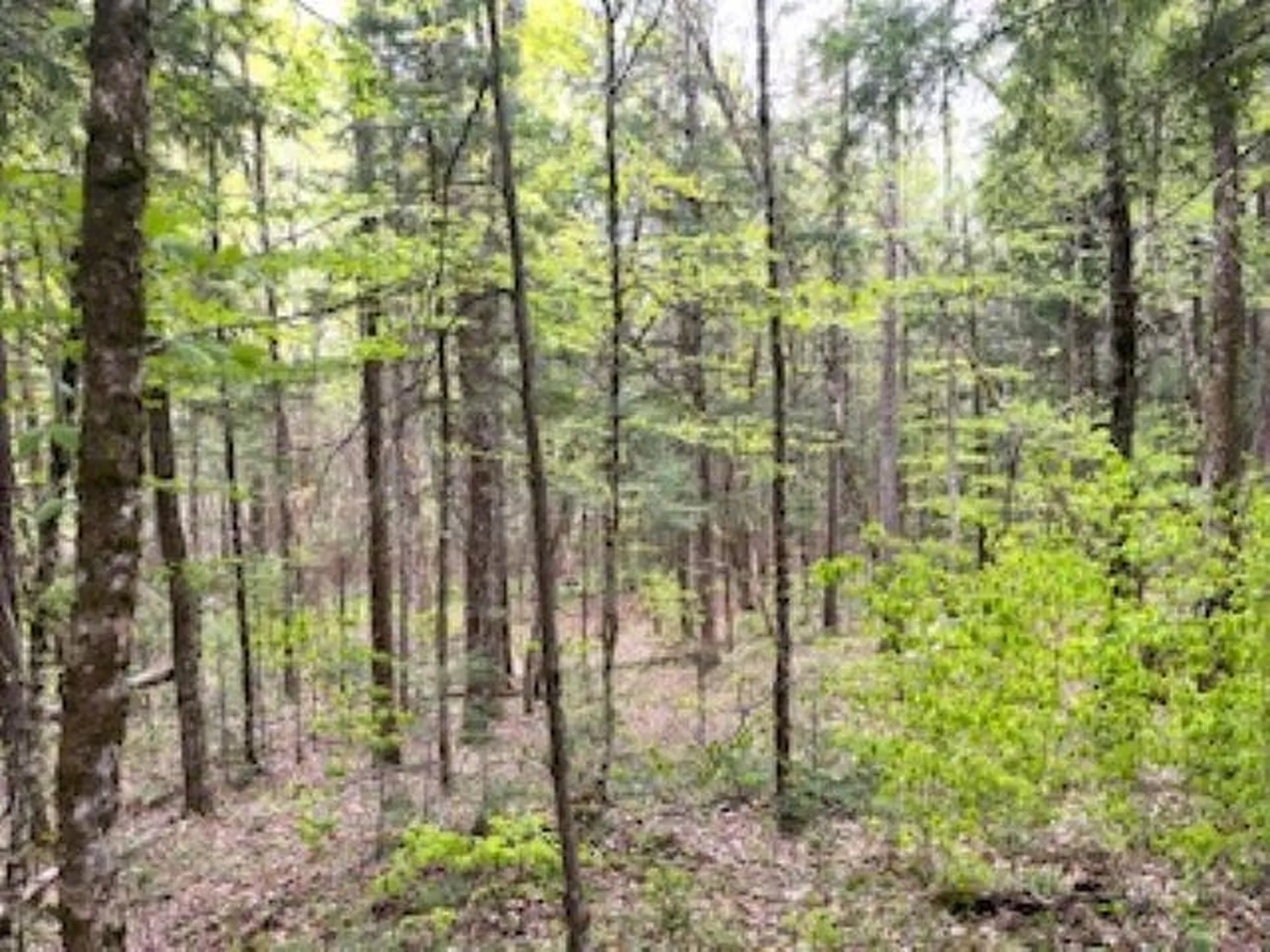 00 Tucker Road Dalton NH 03598