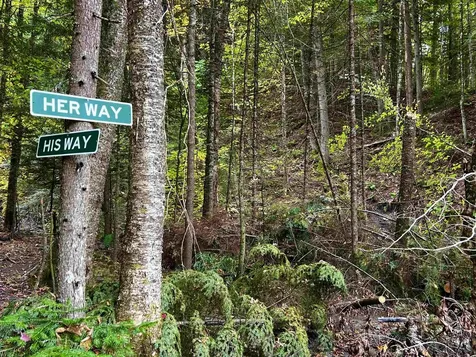 6450 Kirby Mountain Road Kirby VT 05851