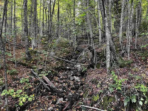 6450 Kirby Mountain Road Kirby VT 05851