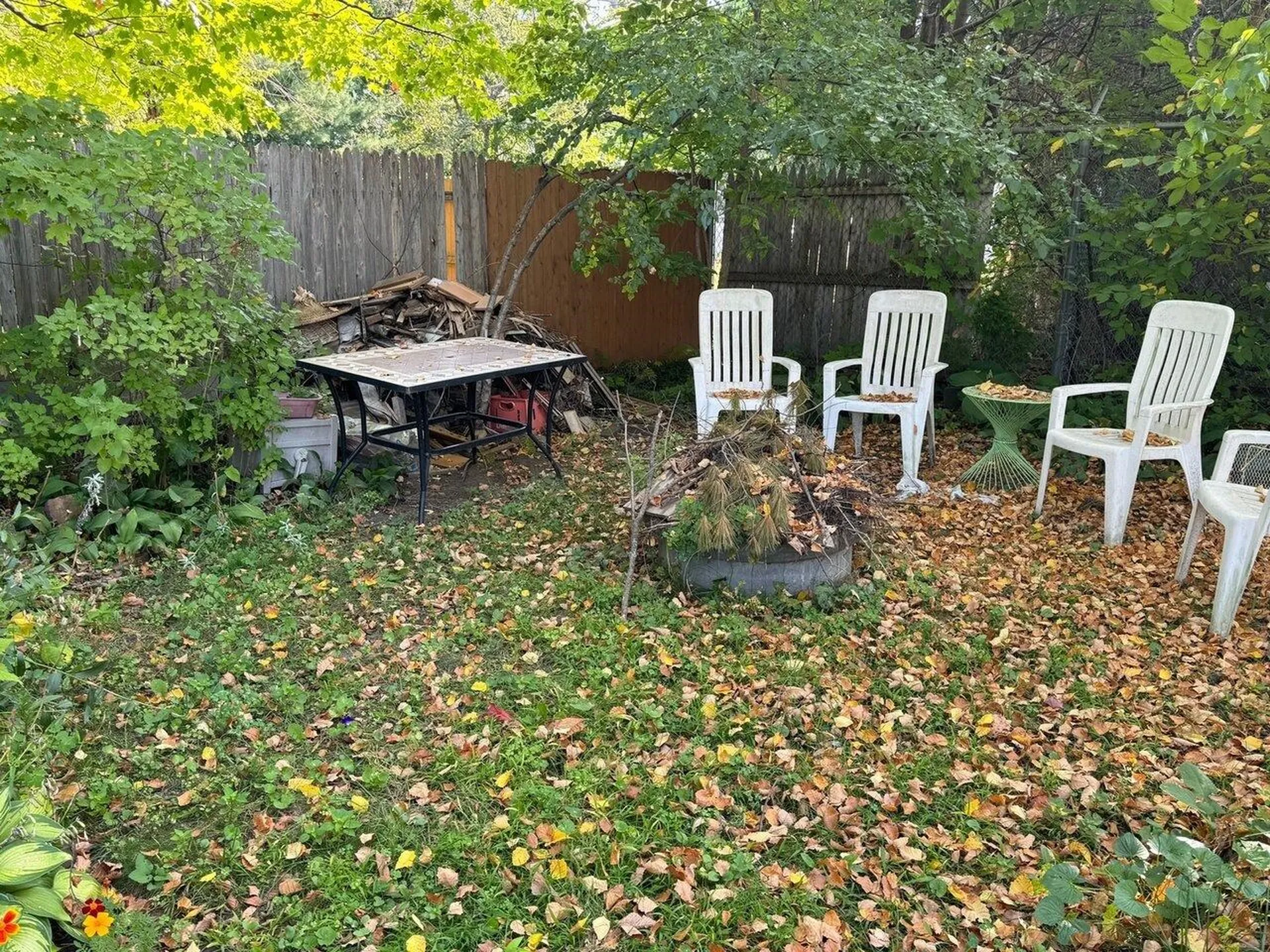 246 North Winooski Avenue Burlington VT 05401