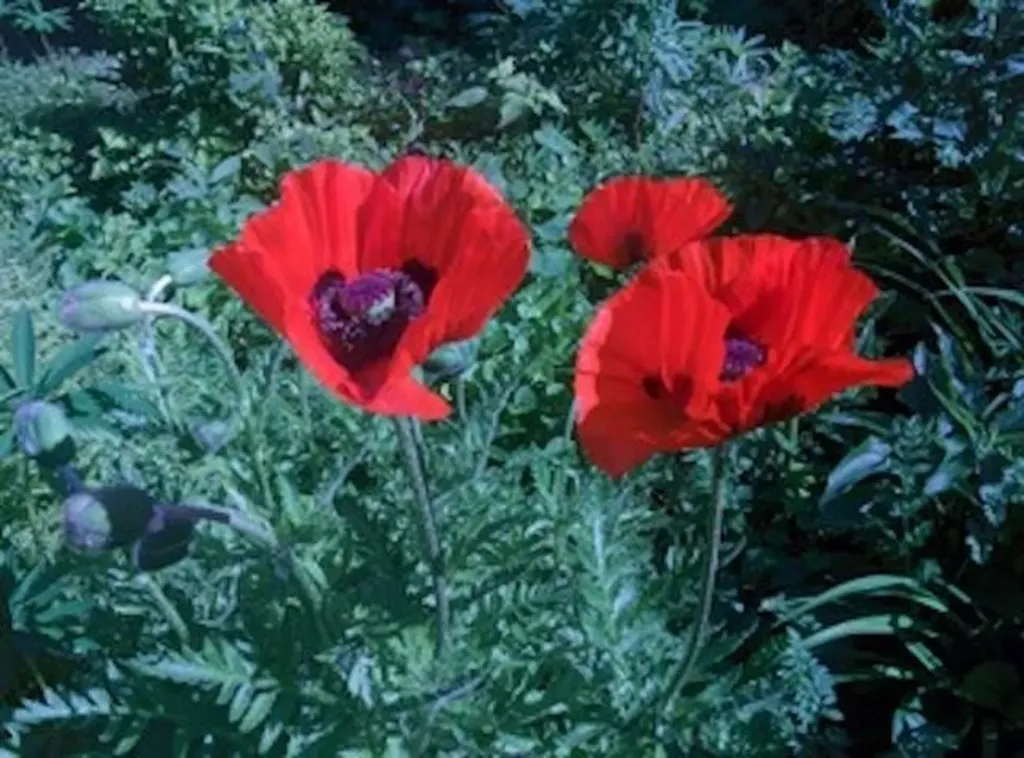 17 Wyman Avenue Kittery ME 03904