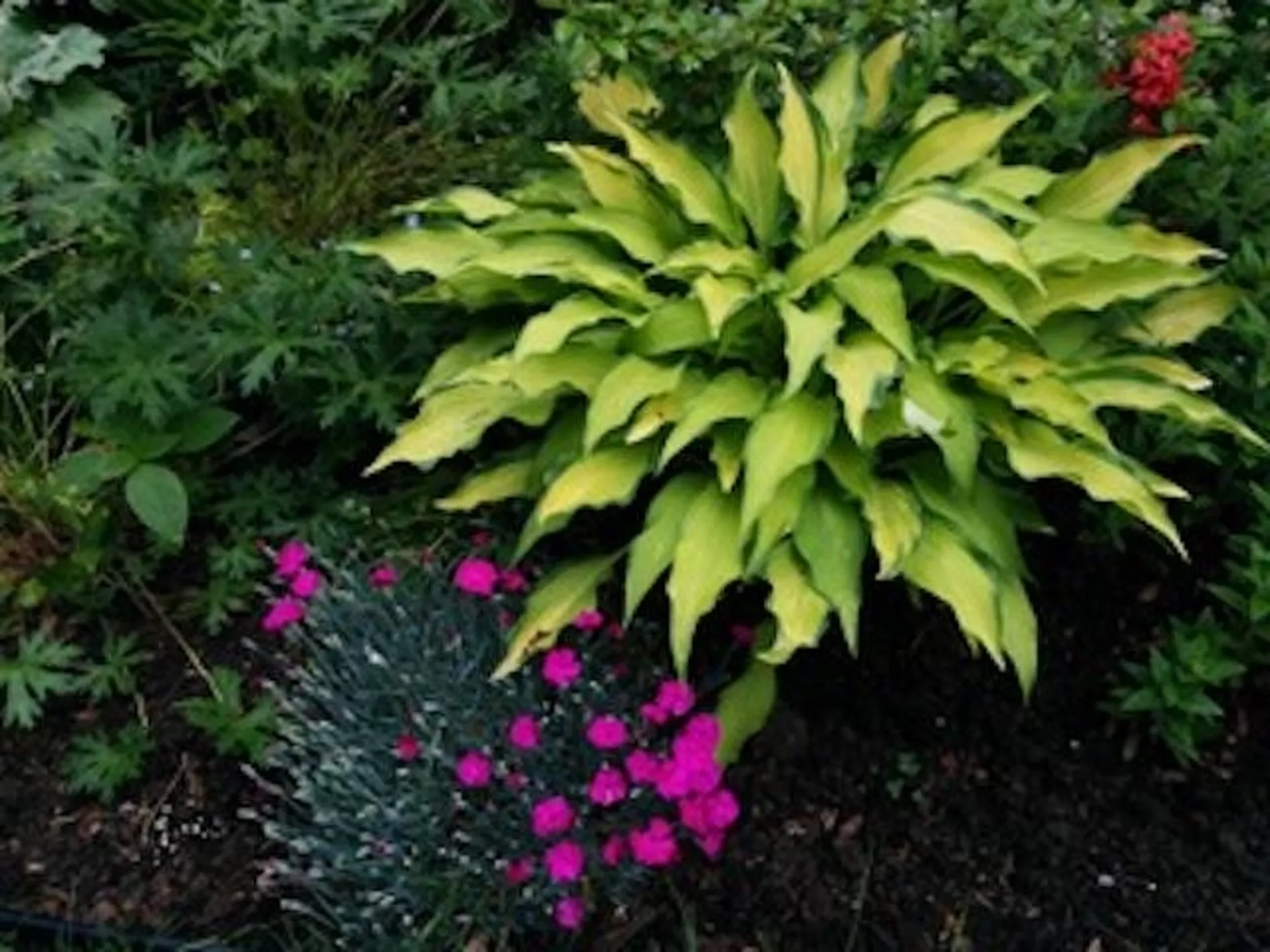 17 Wyman Avenue Kittery ME 03904