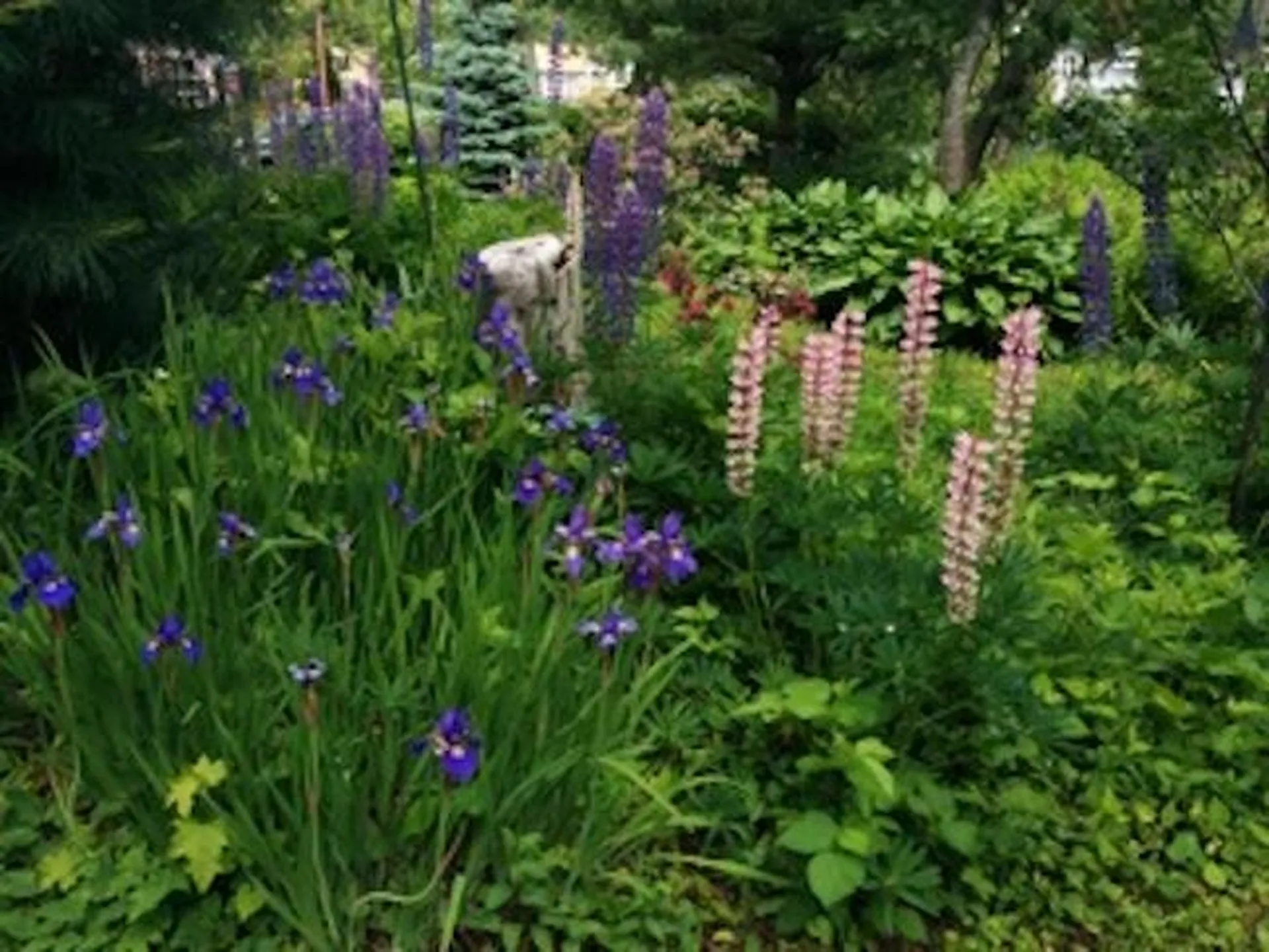 17 Wyman Avenue Kittery ME 03904