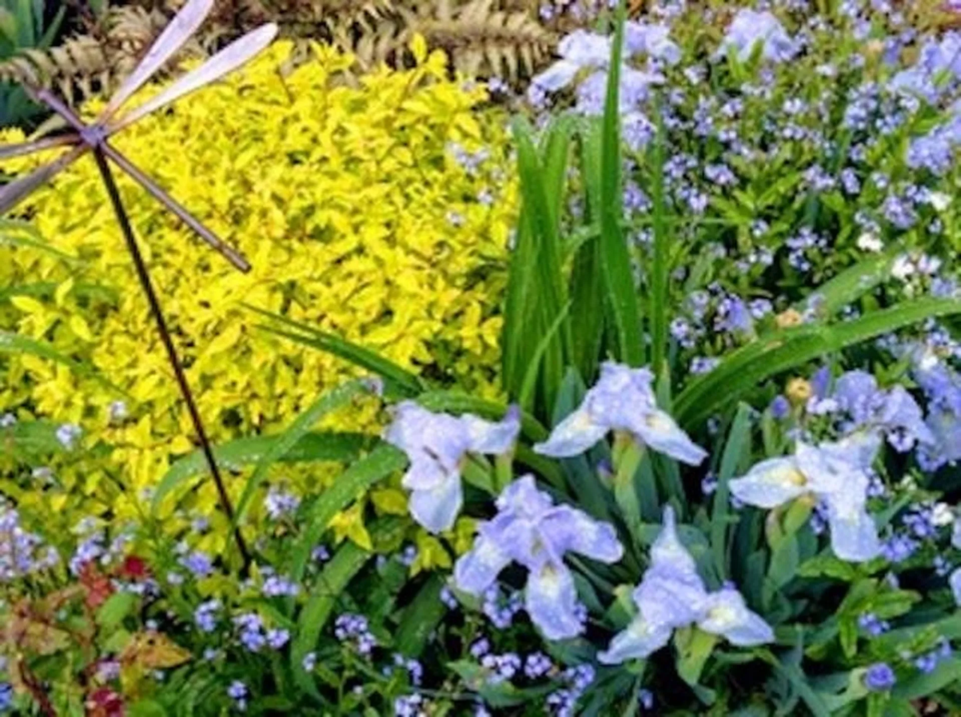 17 Wyman Avenue Kittery ME 03904