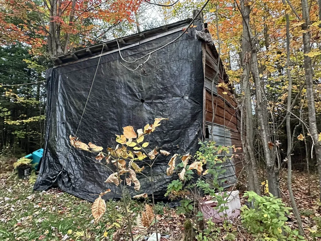 623 Richard Crossing Walden VT 05836