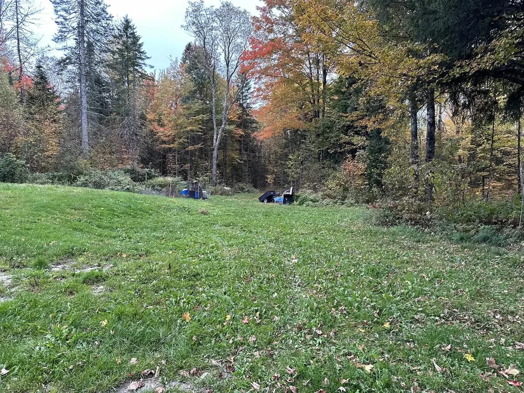 623 Richard Crossing Walden VT 05836