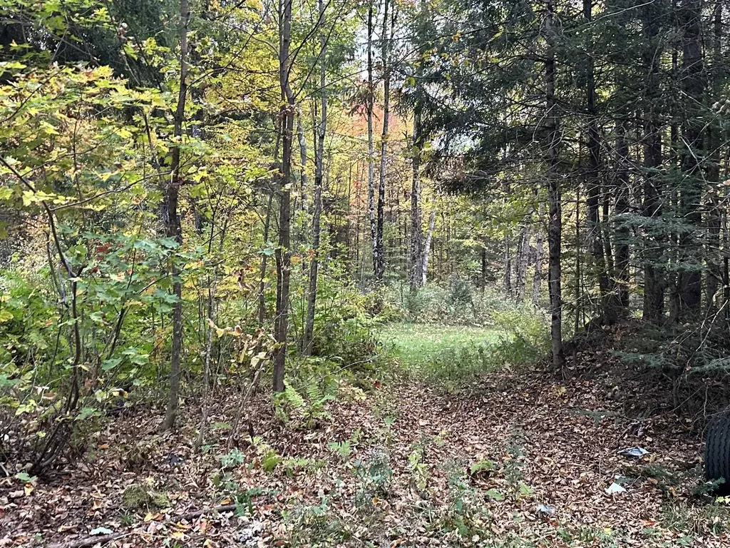 623 Richard Crossing Walden VT 05836