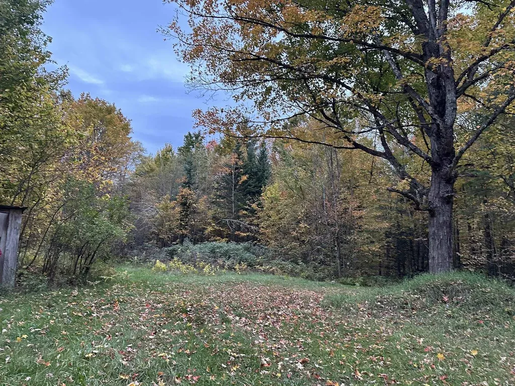 623 Richard Crossing Walden VT 05836