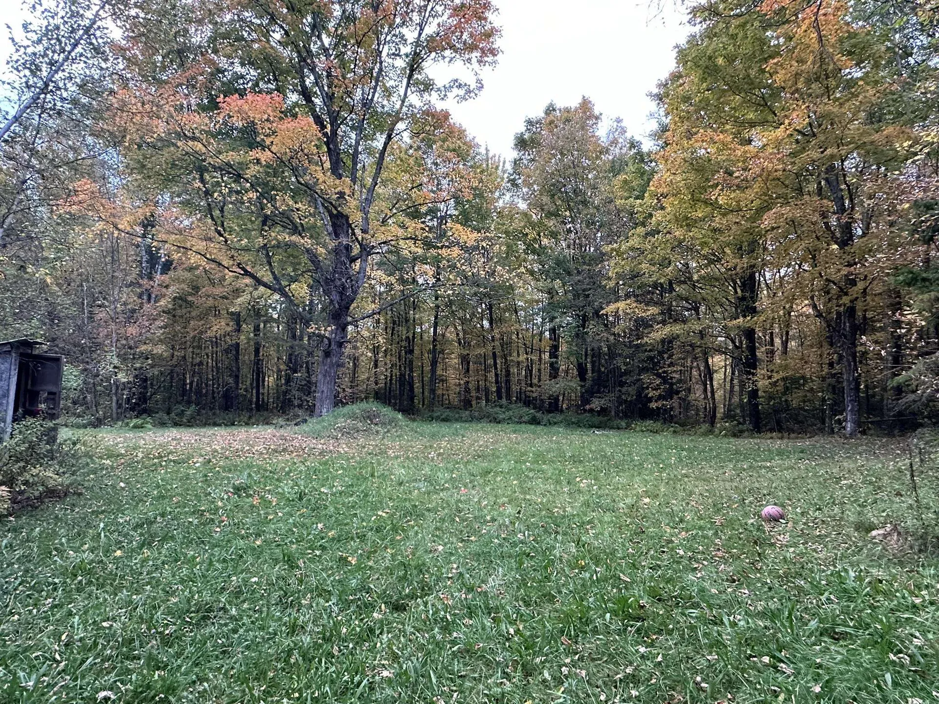 623 Richard Crossing Walden VT 05836