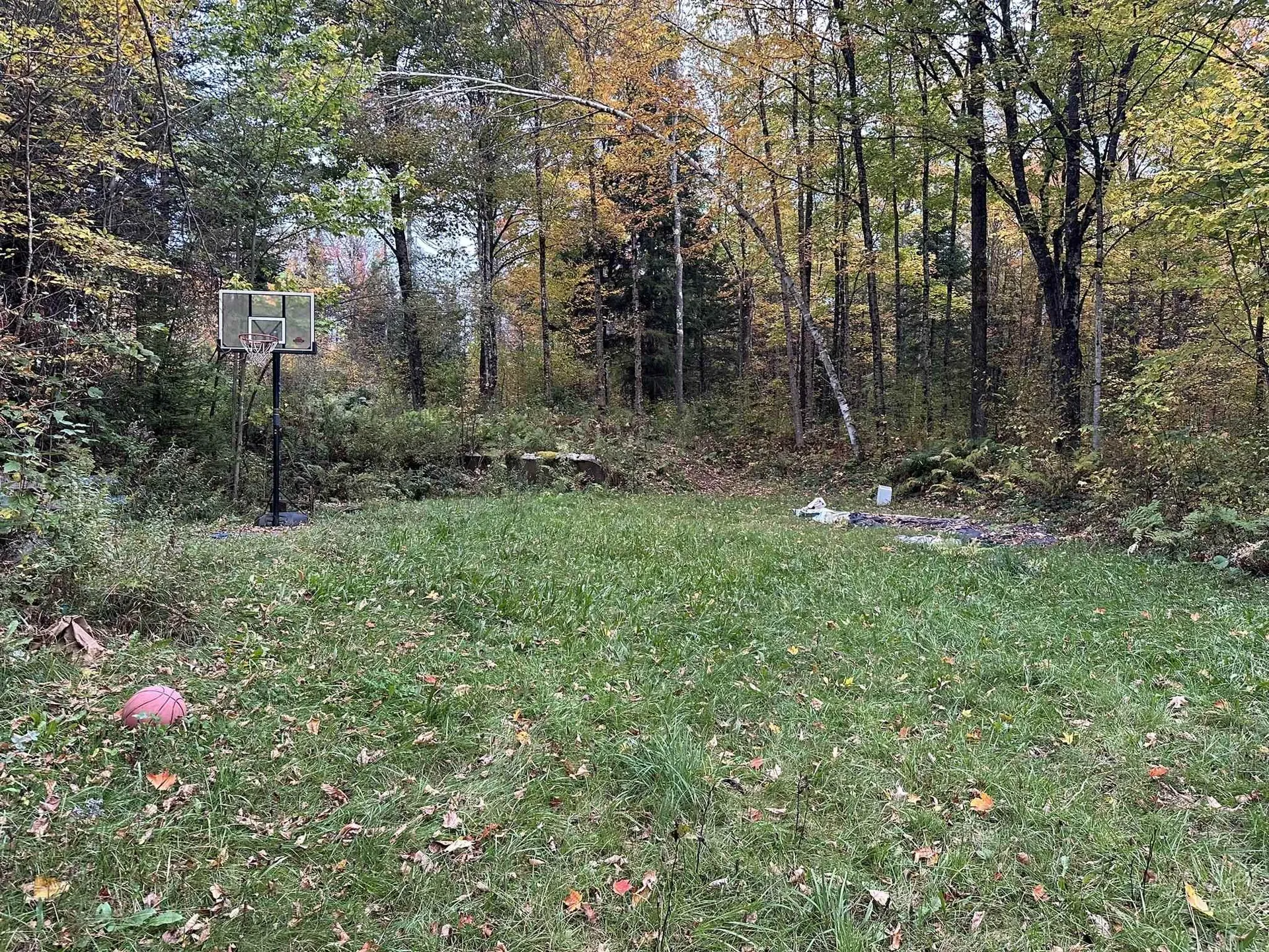 623 Richard Crossing Walden VT 05836