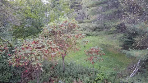 389 East Montpelier Road Barre Town VT 05641