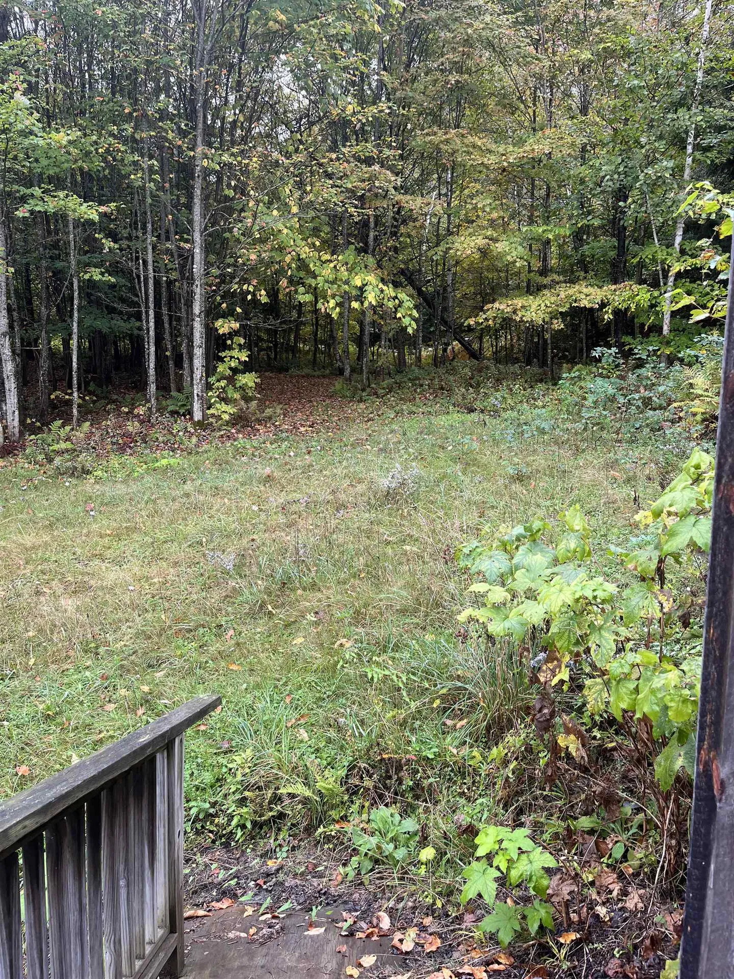 404 Bliss Pond Road Calais VT 05648