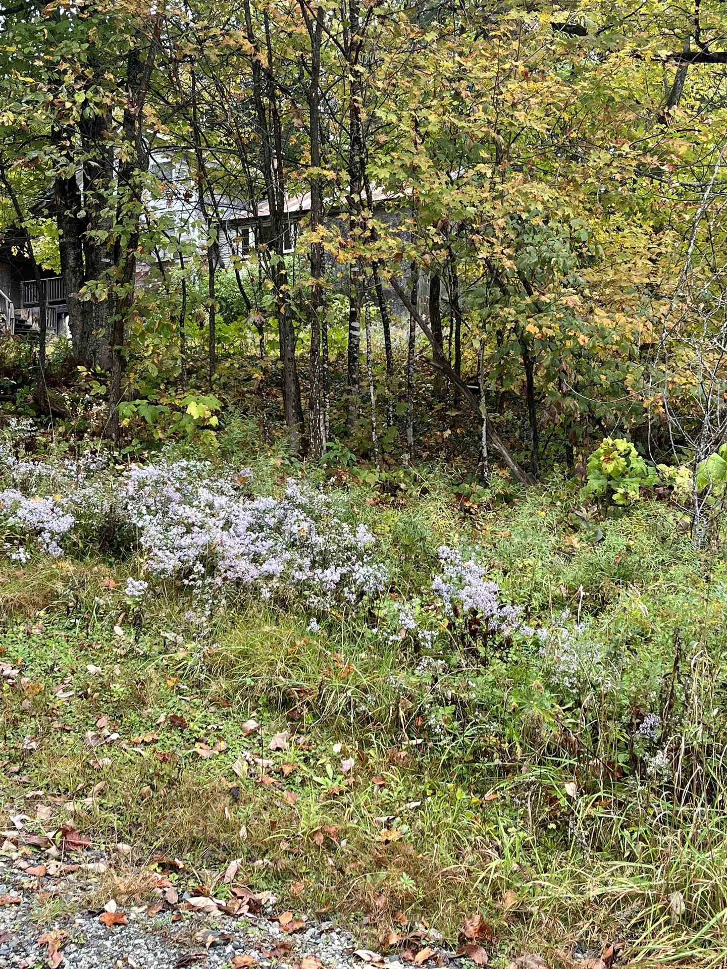 404 Bliss Pond Road Calais VT 05648