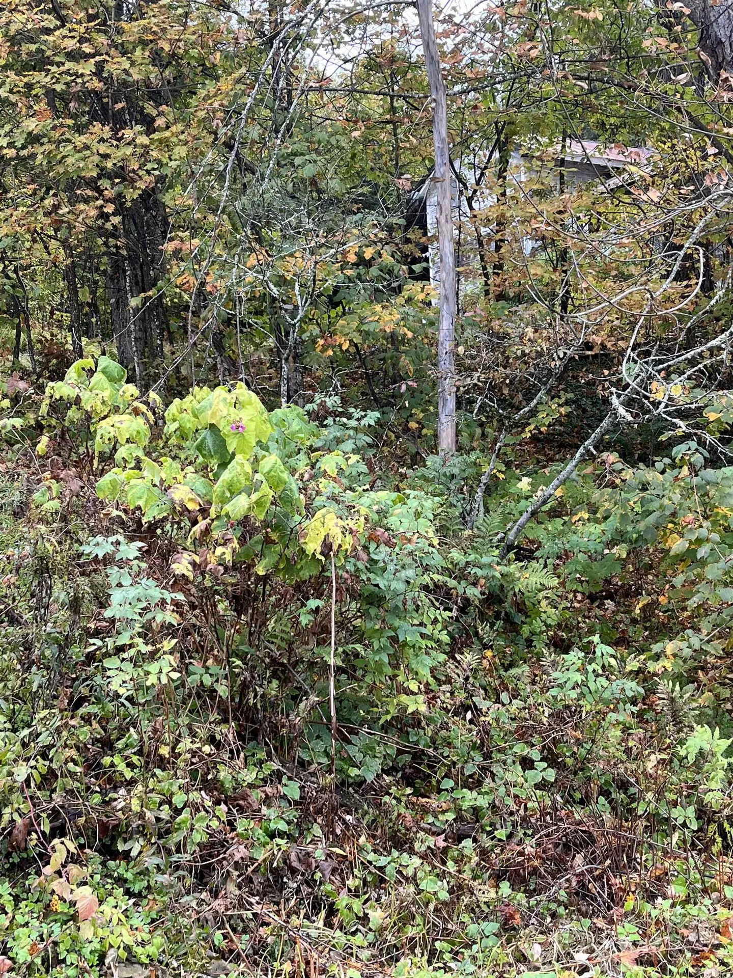 404 Bliss Pond Road Calais VT 05648