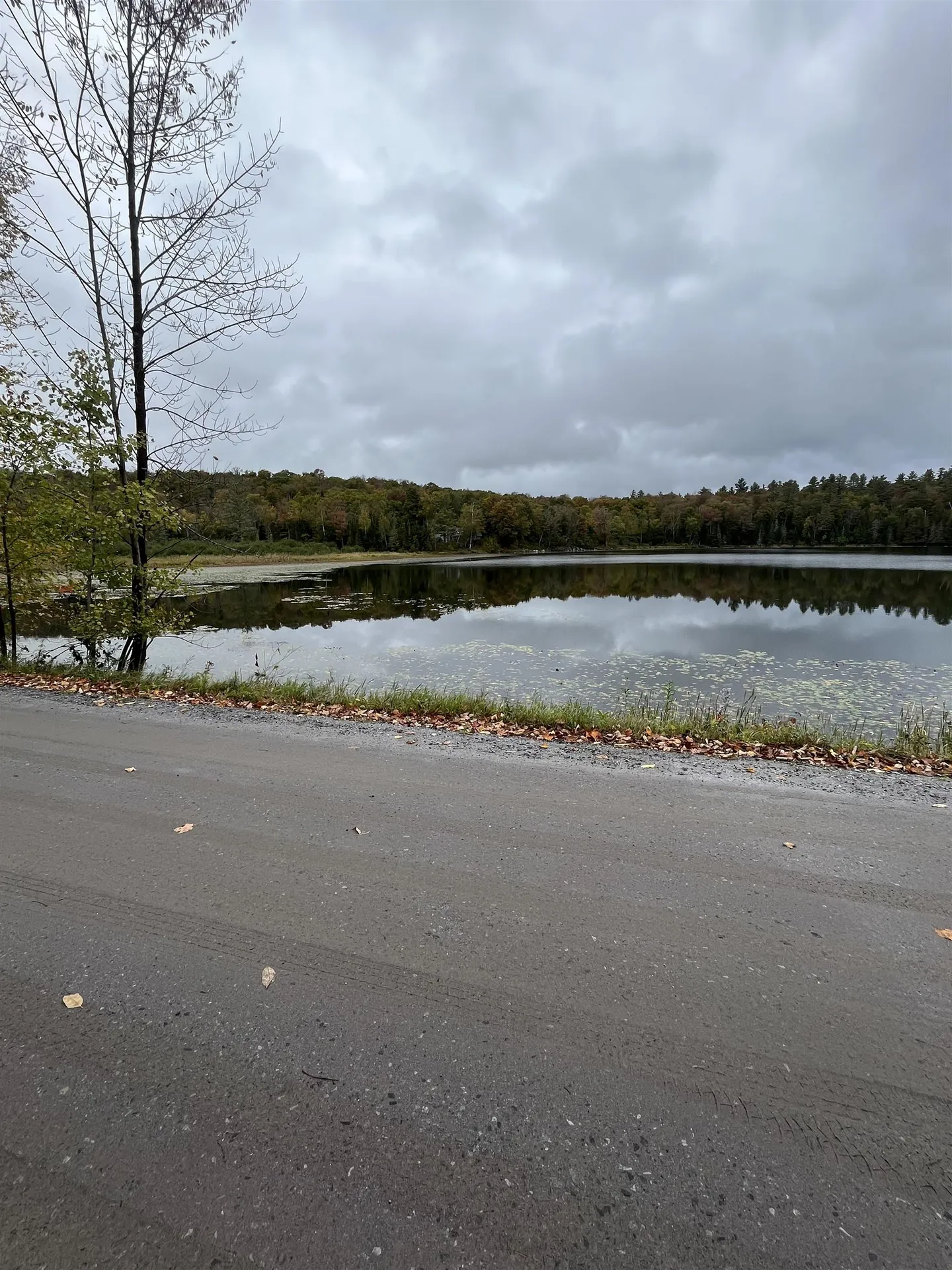 404 Bliss Pond Road Calais VT 05648