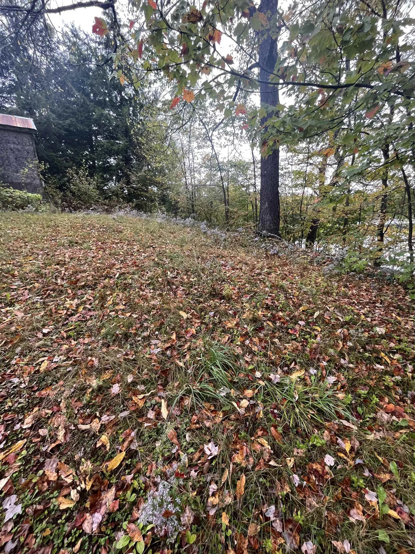 404 Bliss Pond Road Calais VT 05648