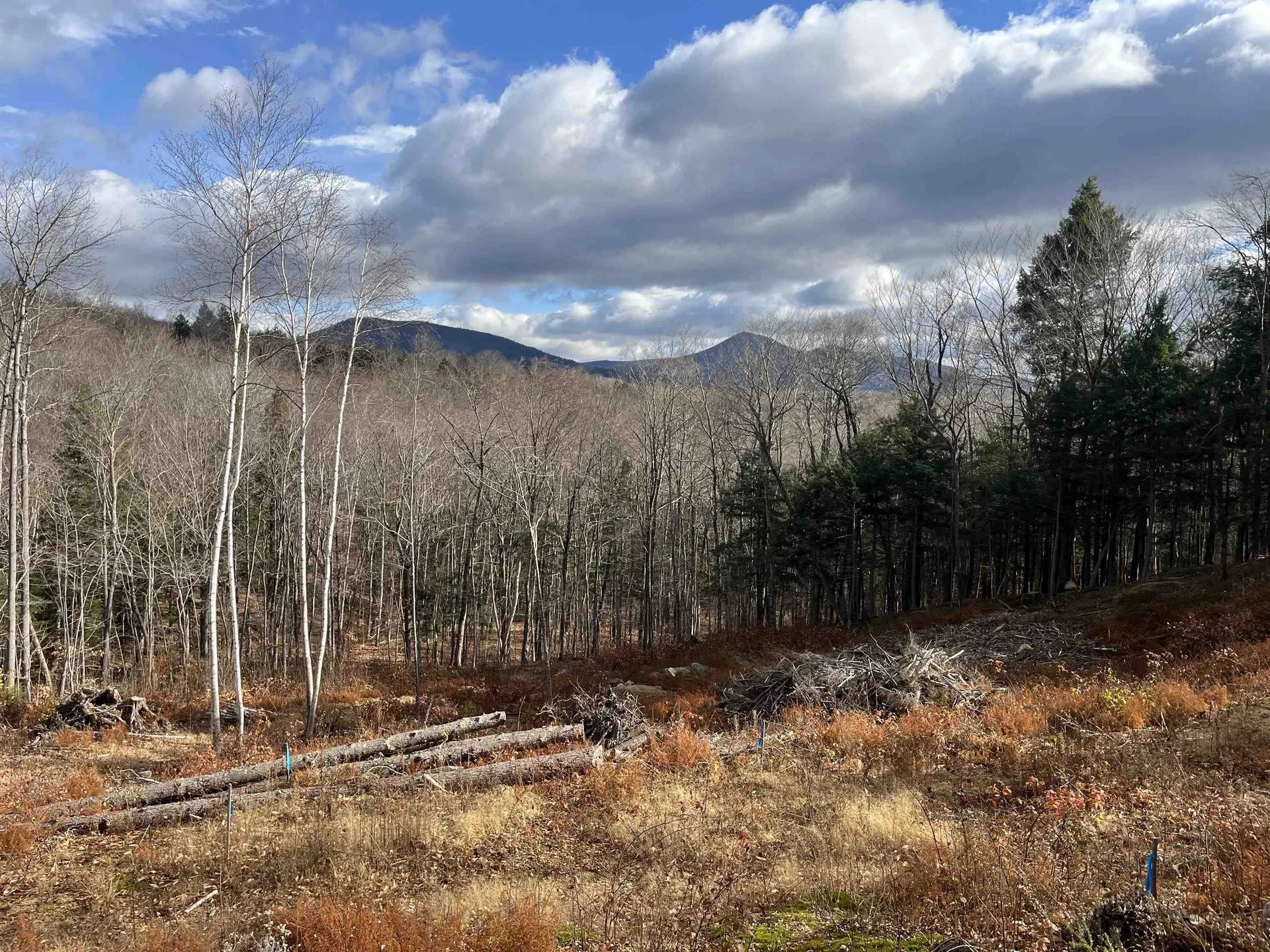 00 West Ledge Road Bartlett NH 03812