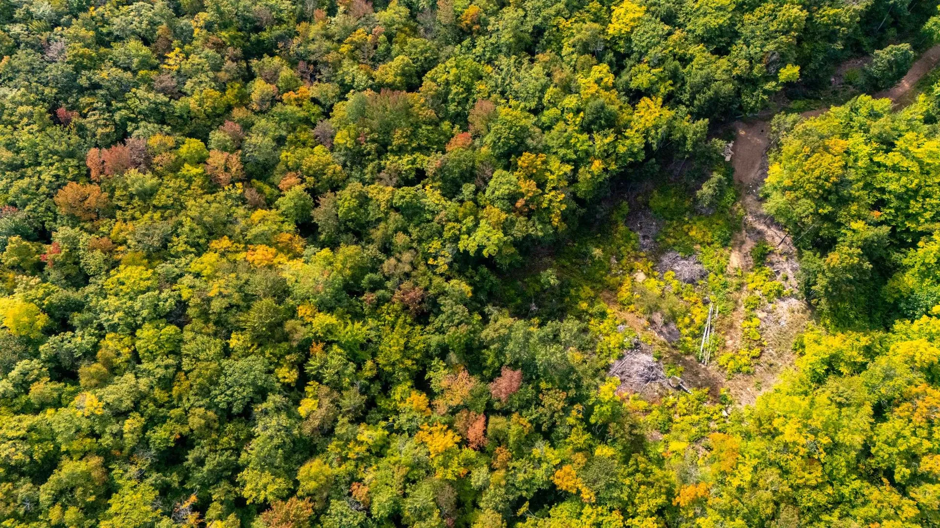00 West Ledge Road Bartlett NH 03812