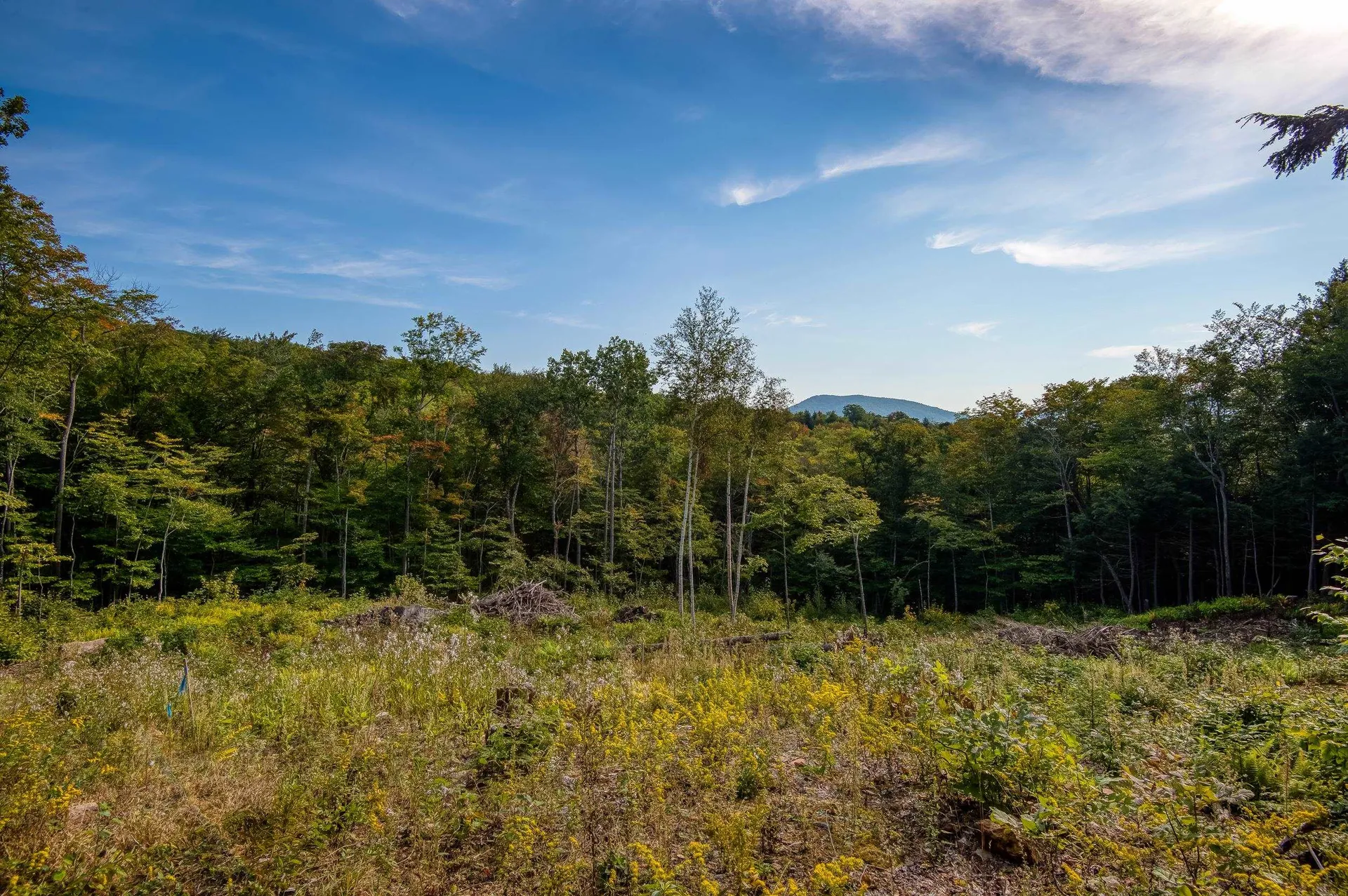 00 West Ledge Road Bartlett NH 03812