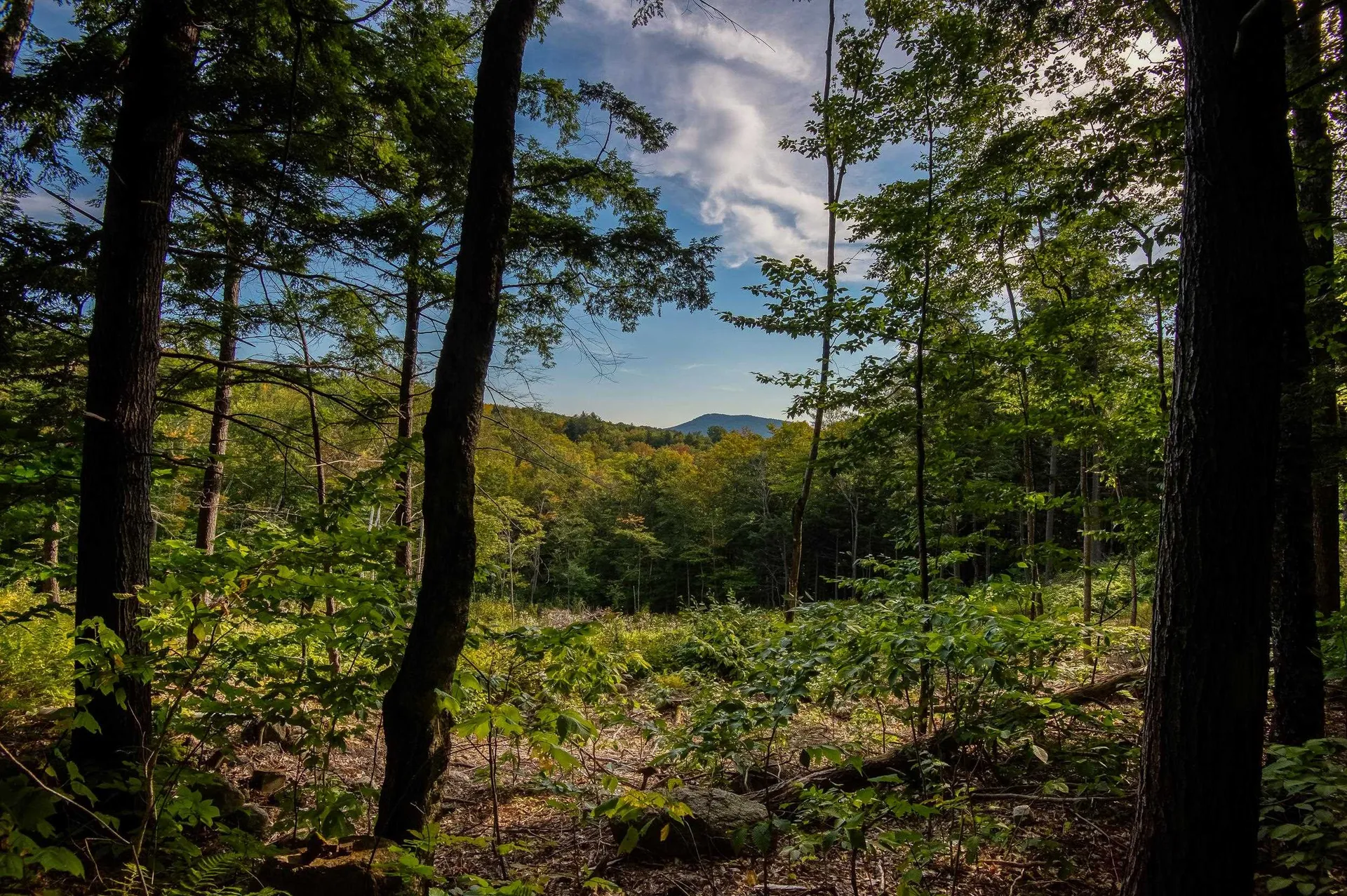 00 West Ledge Road Bartlett NH 03812