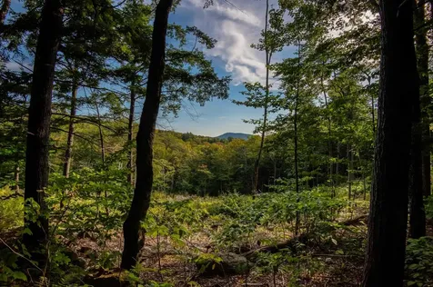 00 West Ledge Road Bartlett NH 03812
