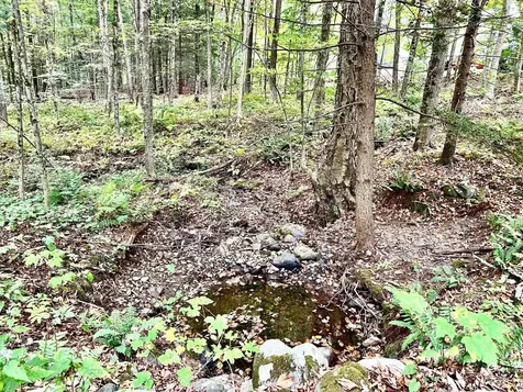 255 Gulf Road Chesterfield NH 03443