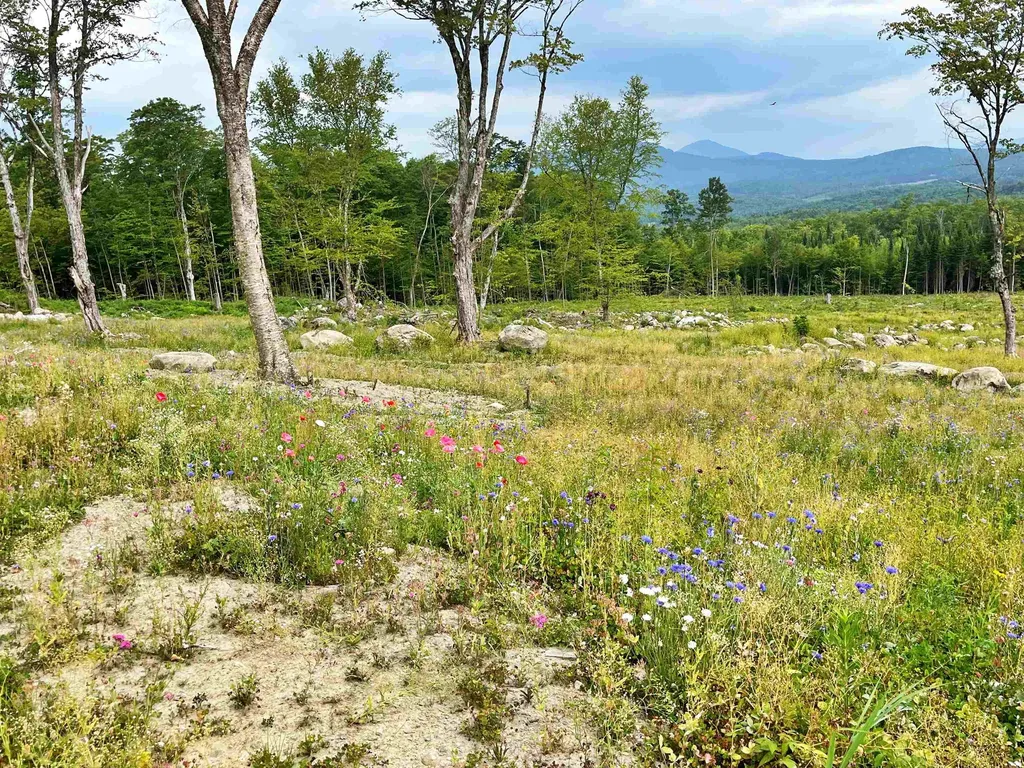 842 Gibbs Road Newport Town VT 05857