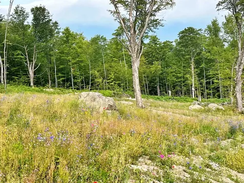 842 Gibbs Road Newport Town VT 05857