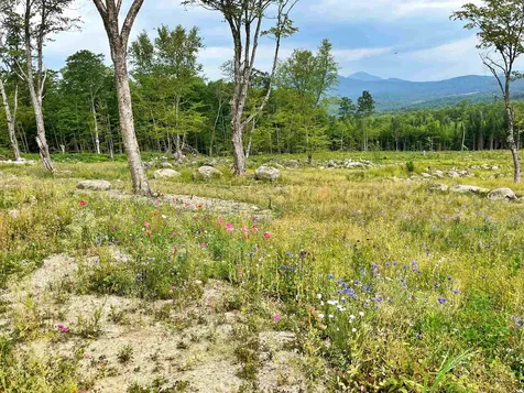 842 Gibbs Road Newport Town VT 05857