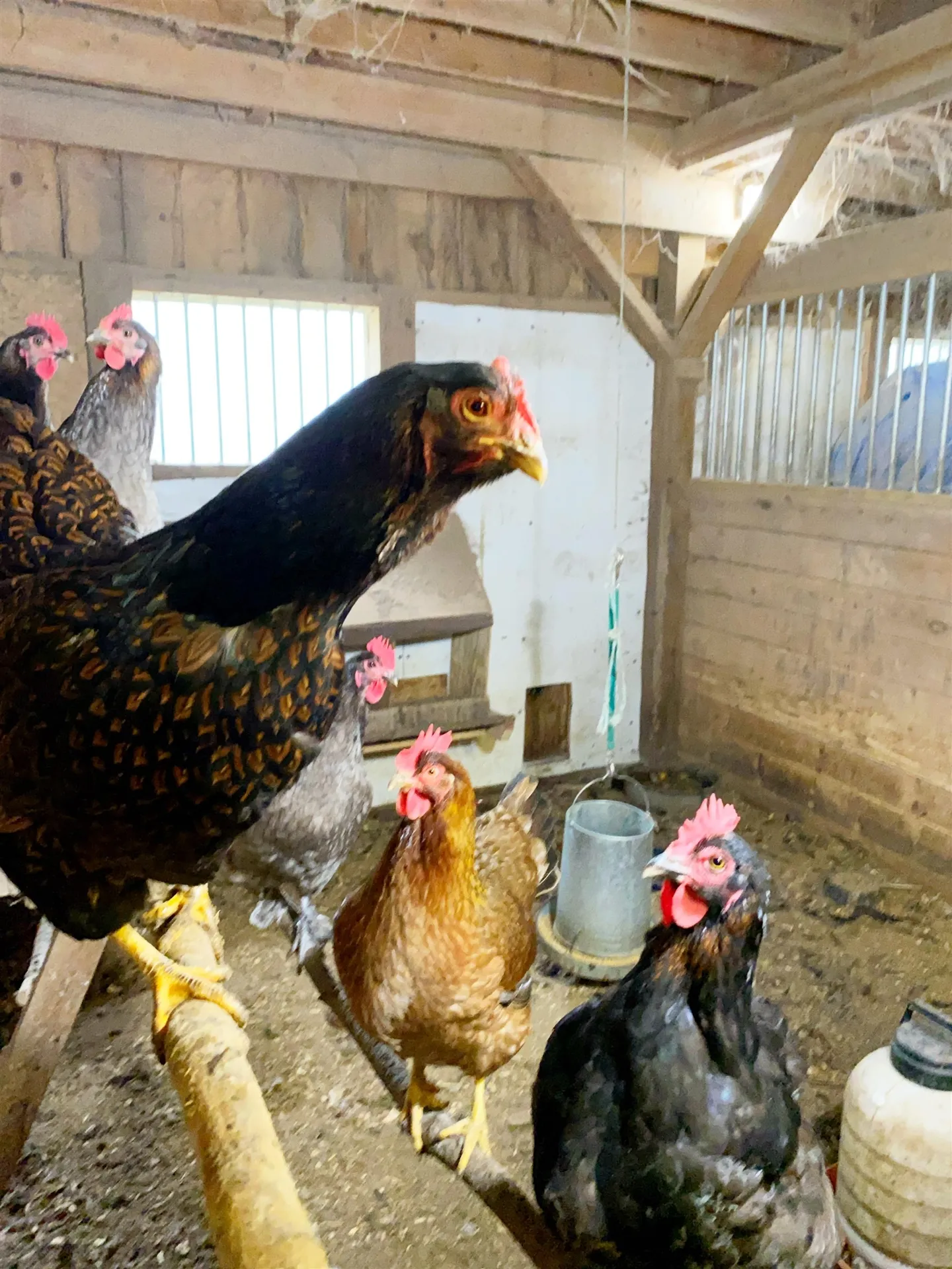 241 Portal Road Middlesex VT 05602