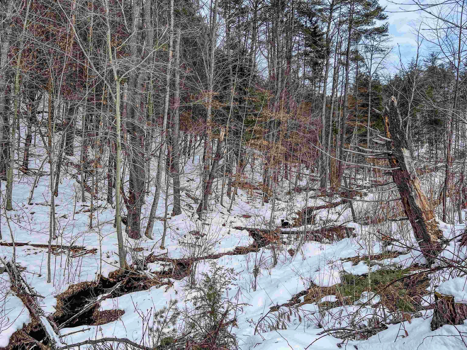 0 Bliss Road Hartford VT 05001