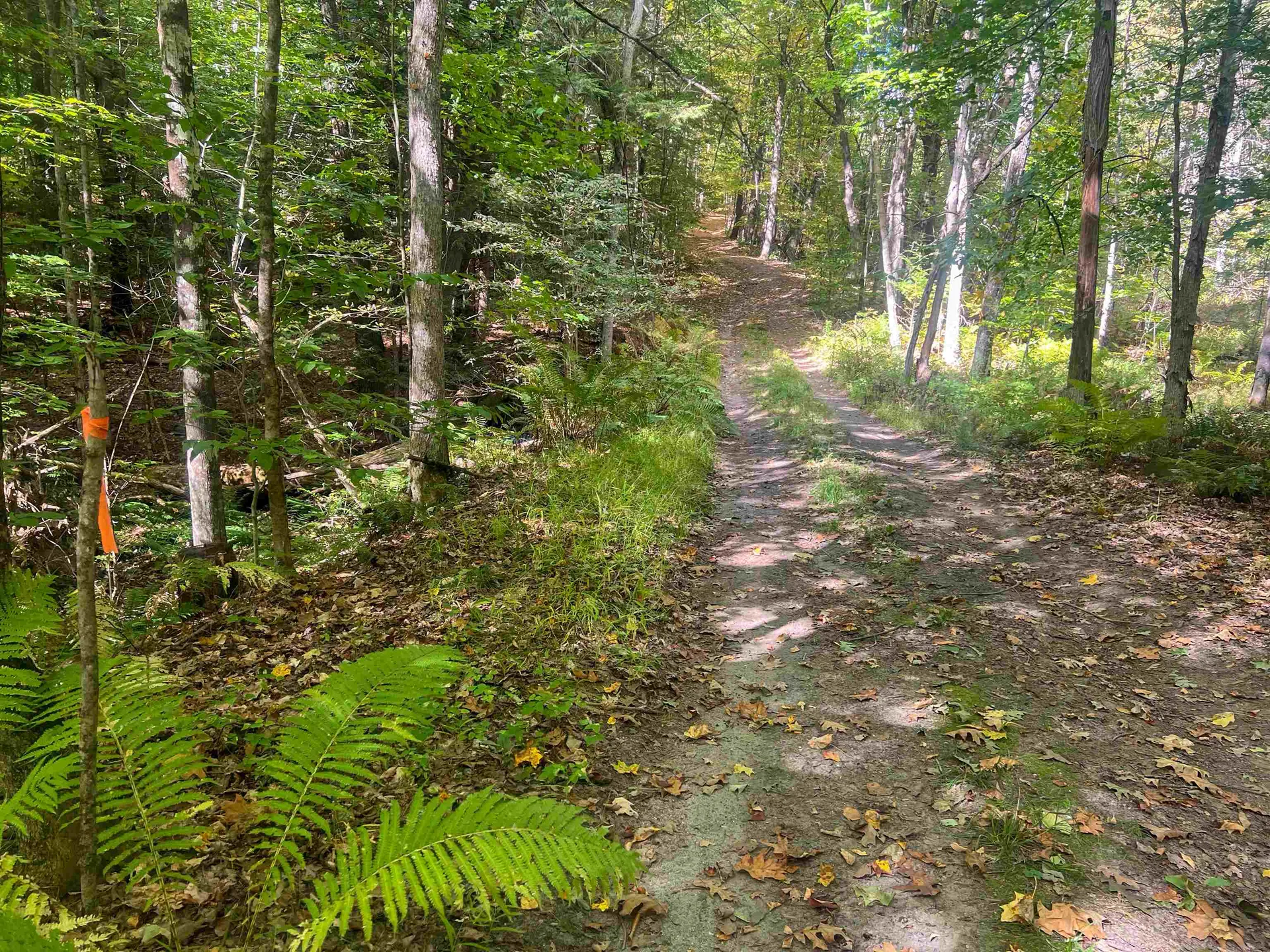 0 Bliss Road Hartford VT 05001