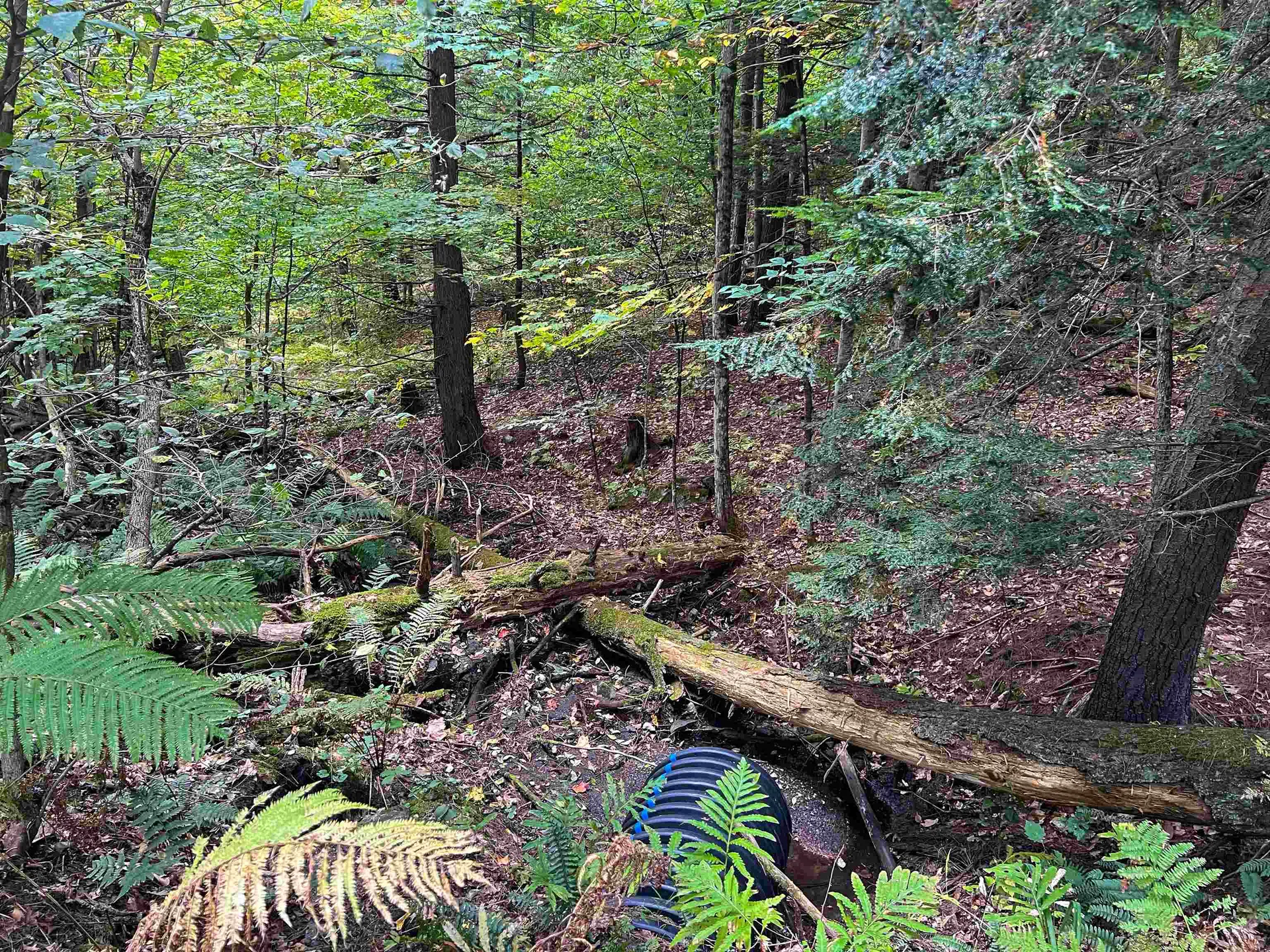 0 Bliss Road Hartford VT 05001