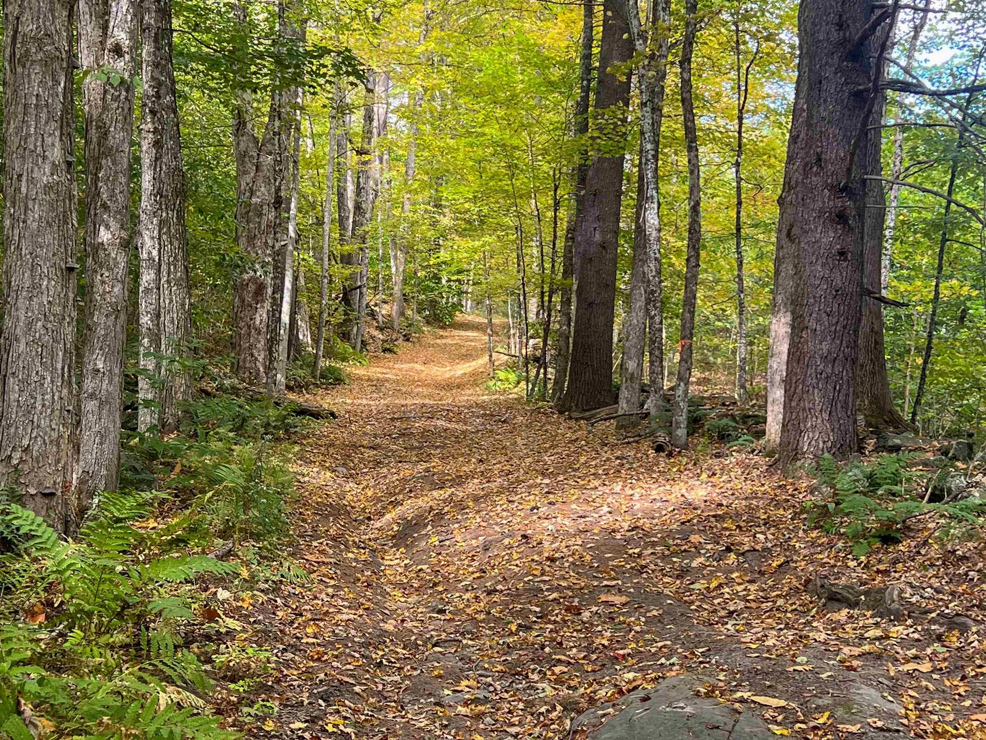 0 Bliss Road Hartford VT 05001