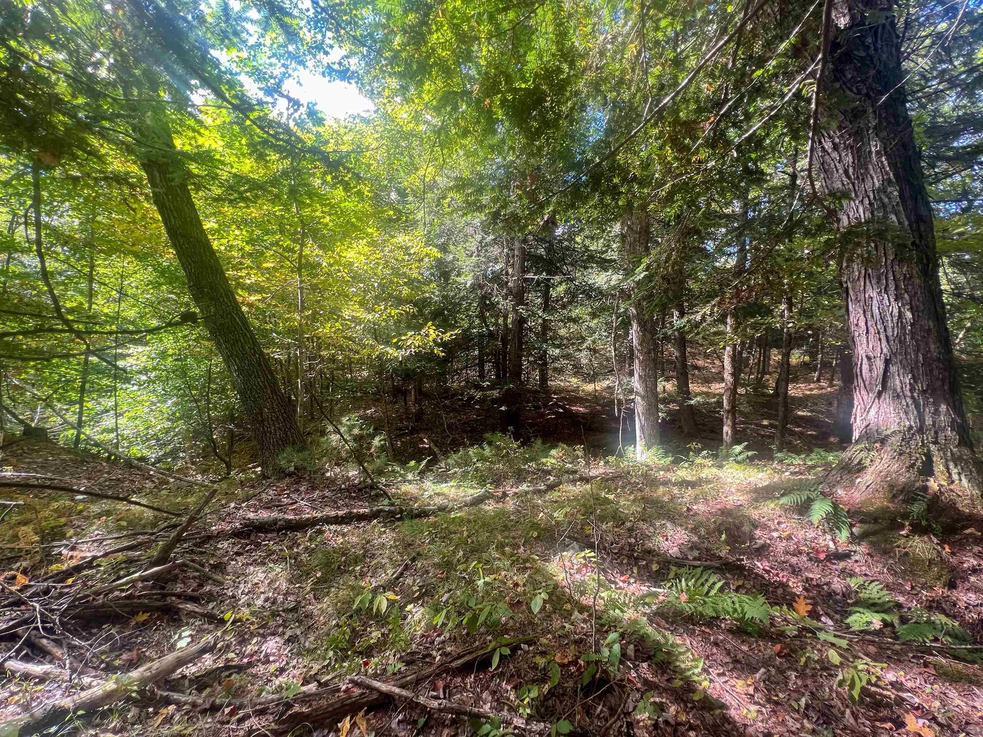 0 Bliss Road Hartford VT 05001