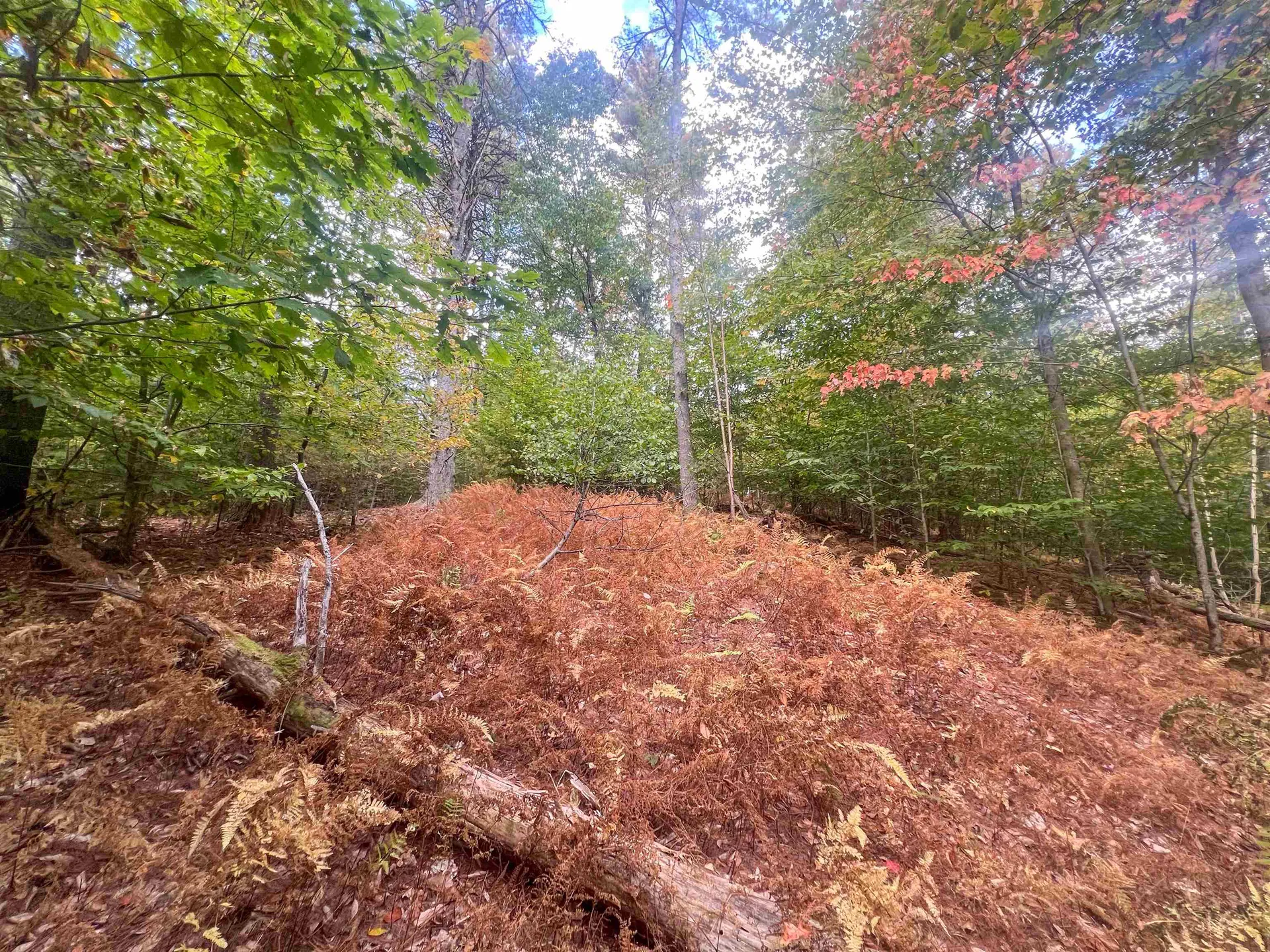 0 Bliss Road Hartford VT 05001