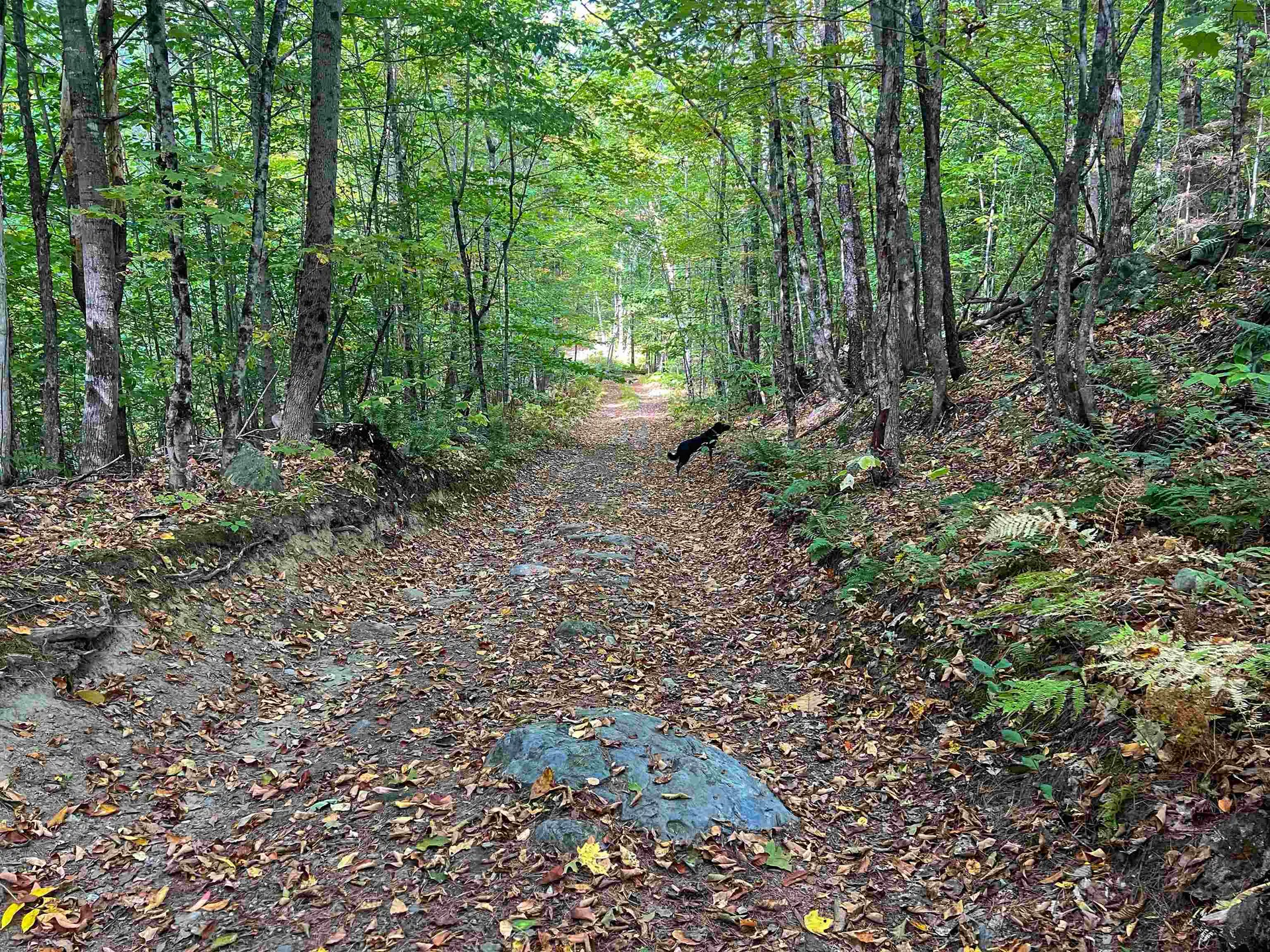 0 Bliss Road Hartford VT 05001