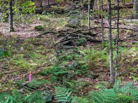 0 Bliss Road Hartford VT 05001