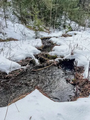 0 Bliss Road Hartford VT 05001