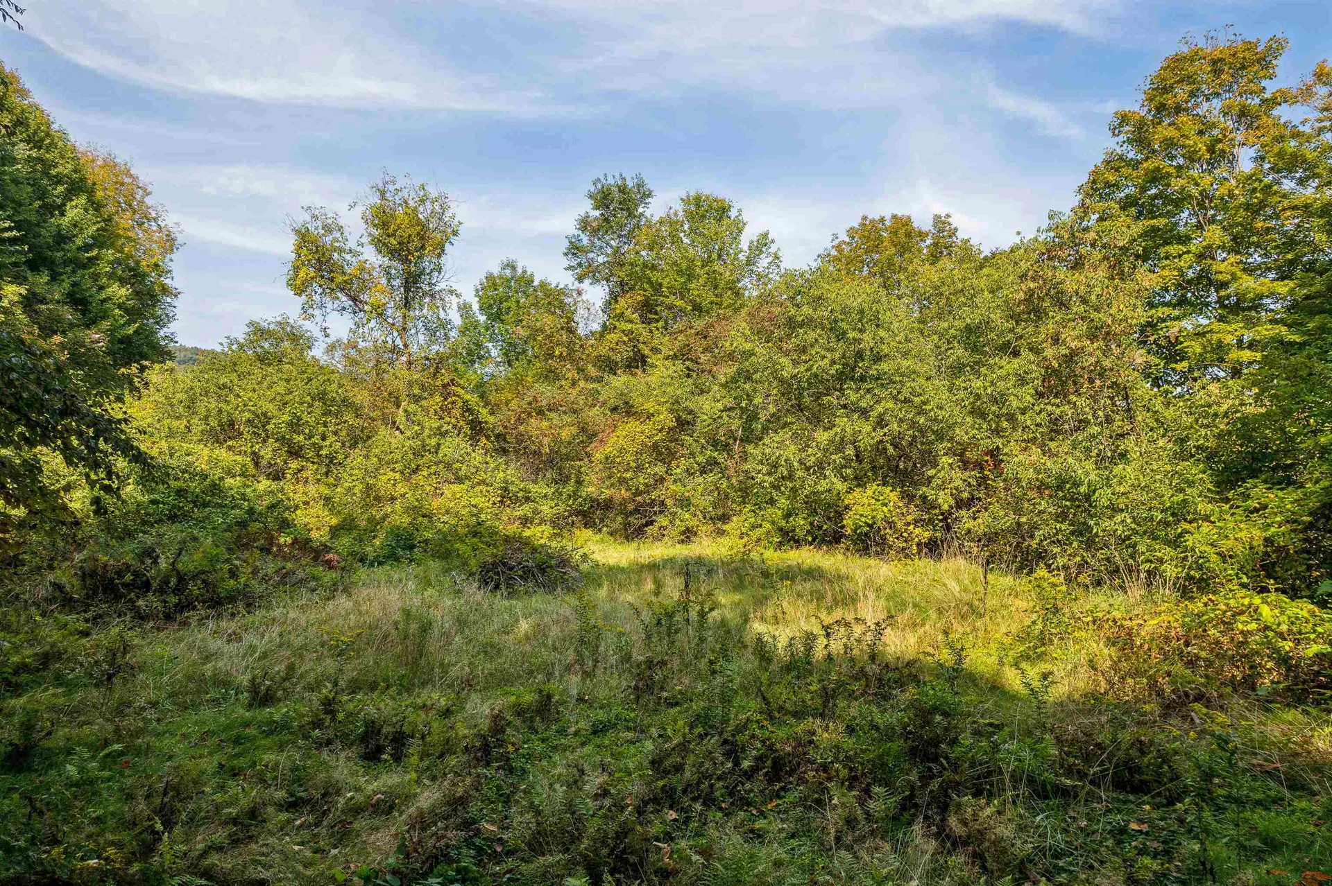 14 Pluck Hill Road Royalton VT 05068