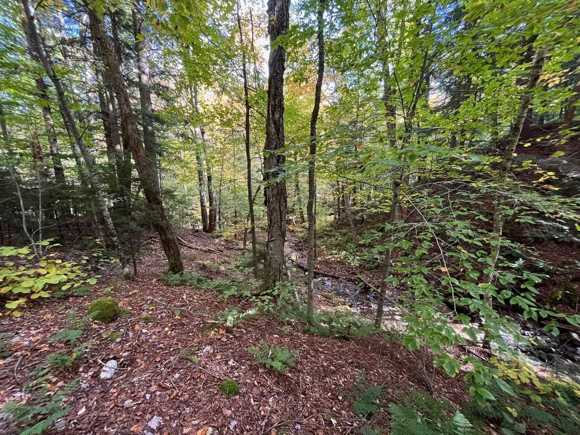 00 German Flats Road Fayston VT 05673