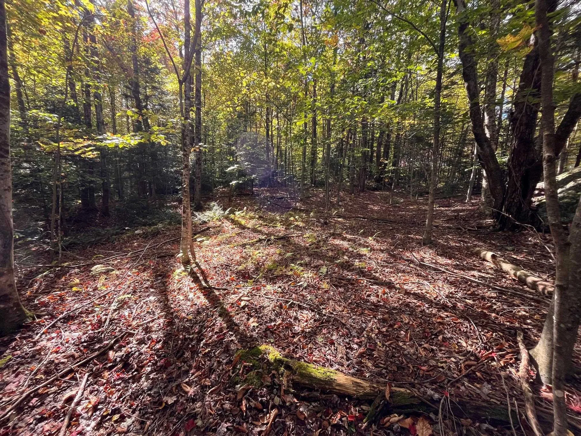 00 German Flats Road Fayston VT 05673