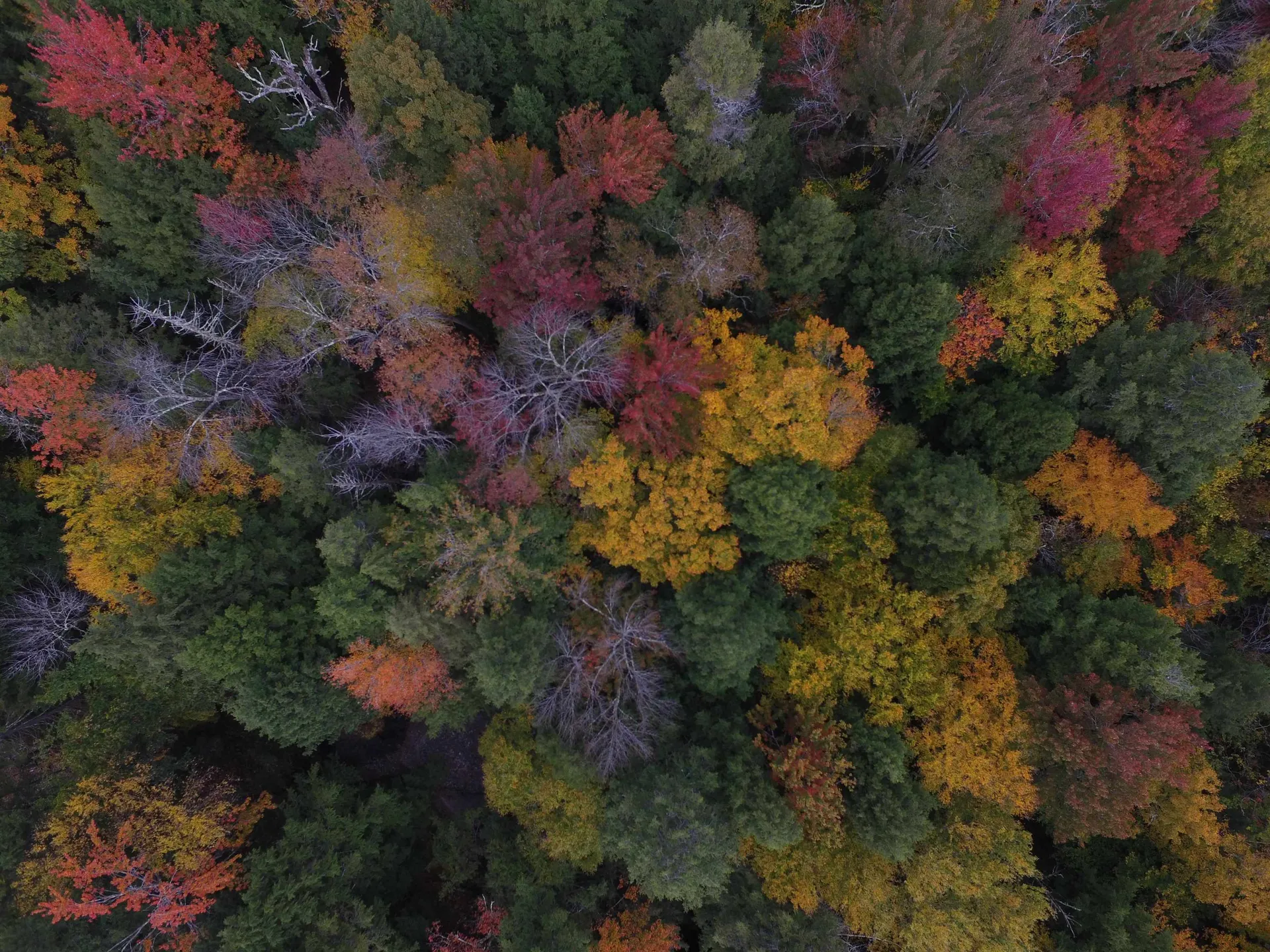 00 German Flats Road Fayston VT 05673