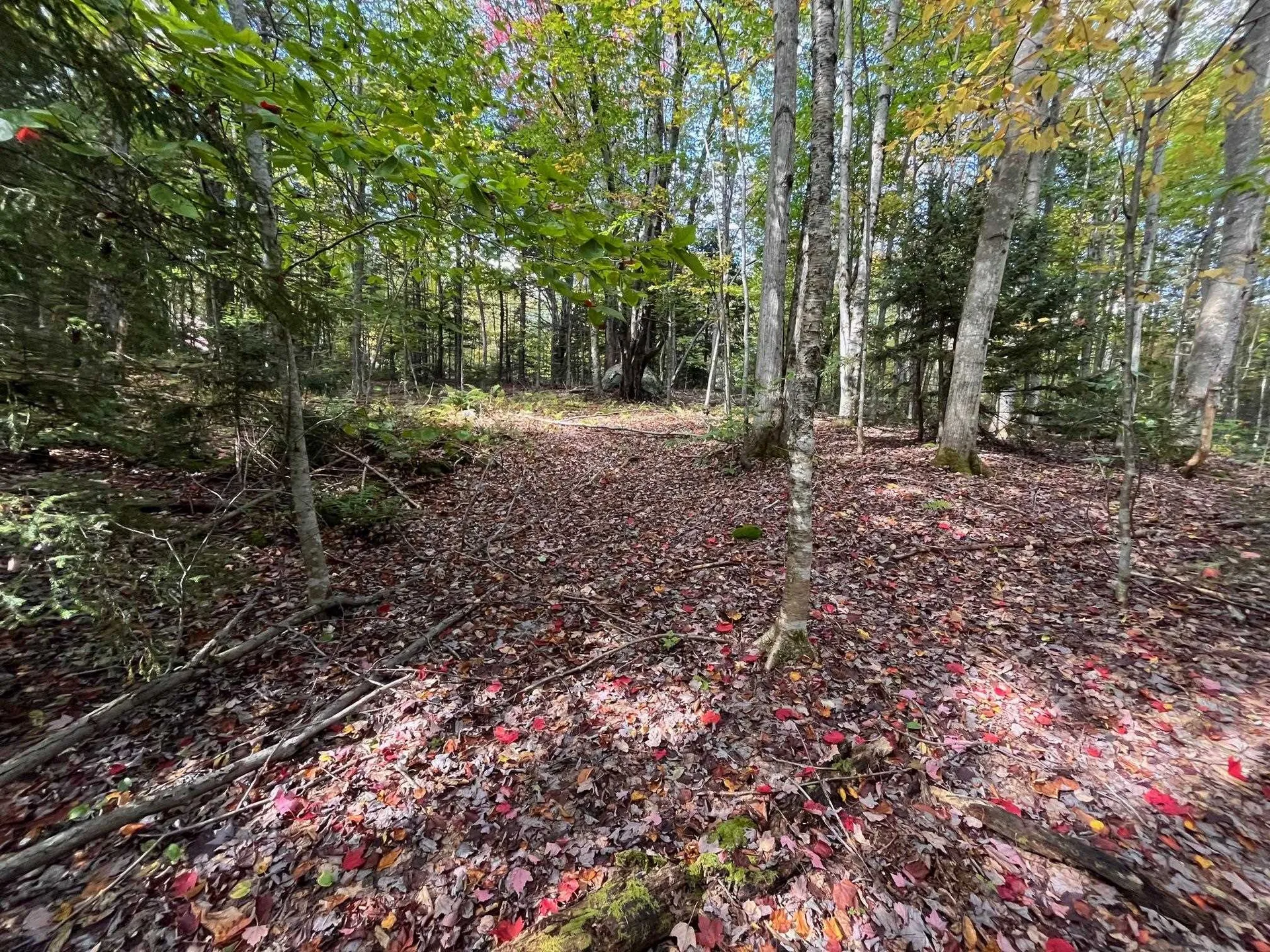 00 German Flats Road Fayston VT 05673