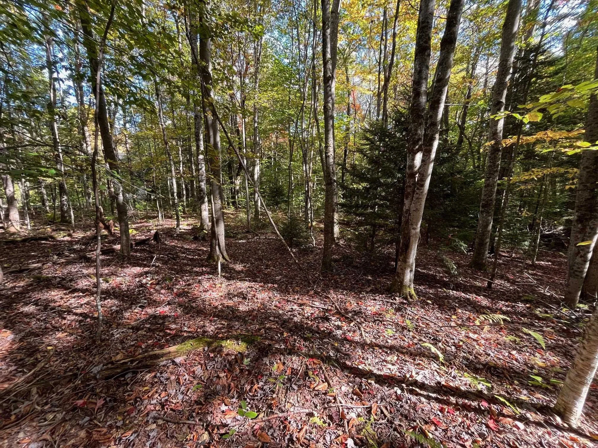 00 German Flats Road Fayston VT 05673