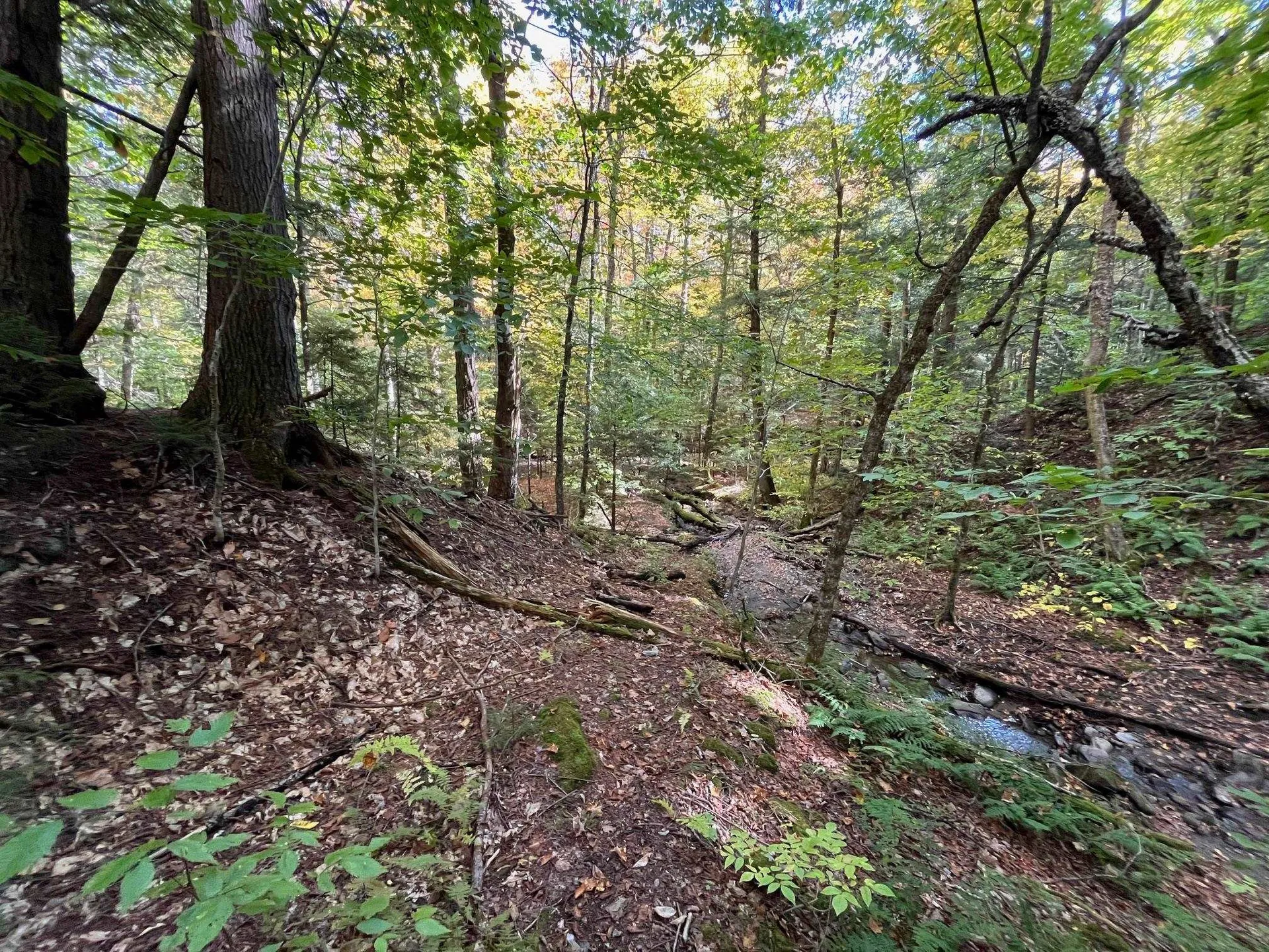 00 German Flats Road Fayston VT 05673