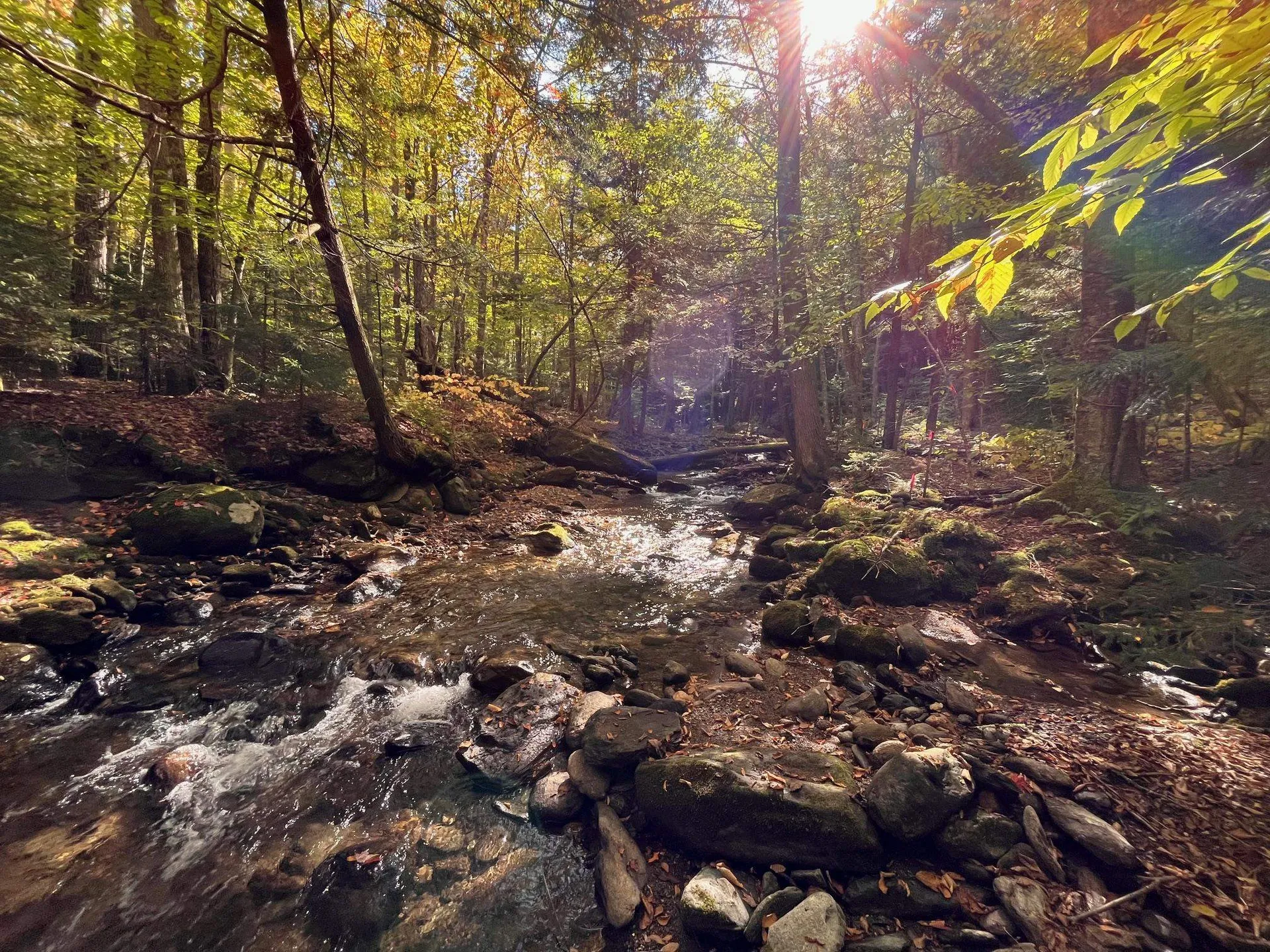 00 German Flats Road Fayston VT 05673