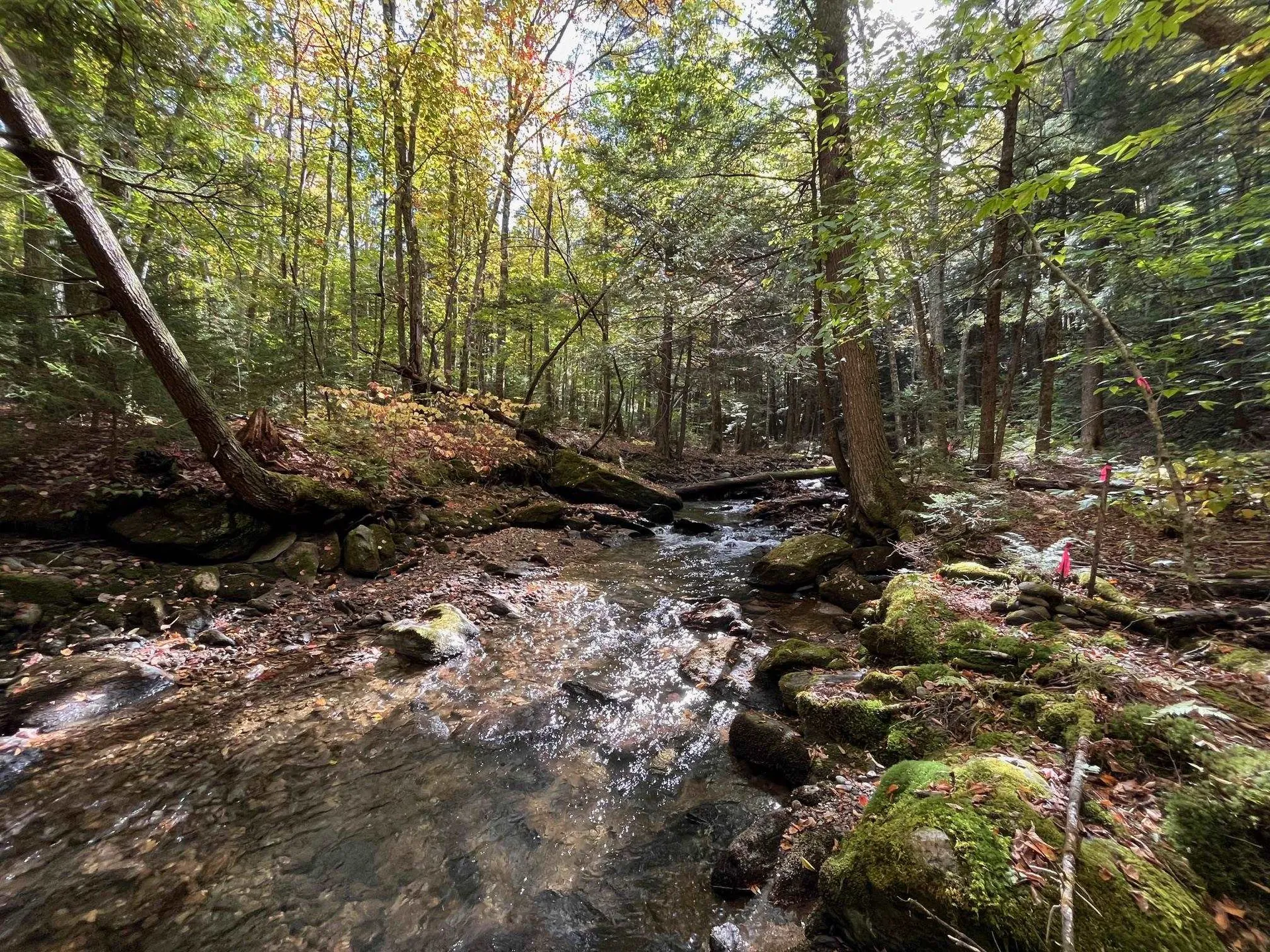 00 German Flats Road Fayston VT 05673